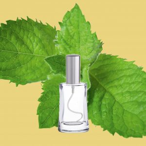 Eau de parfum – Huile essentielle Menthe poivrée