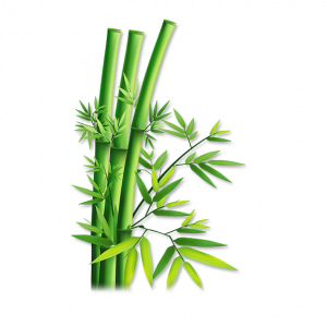 Soin capillaire – Bambou