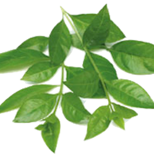 Soin capillaire – Henné