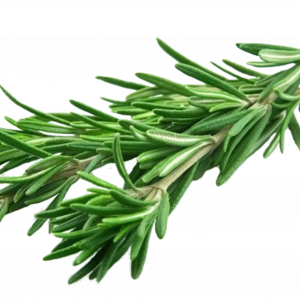 Soin capillaire – Romarin