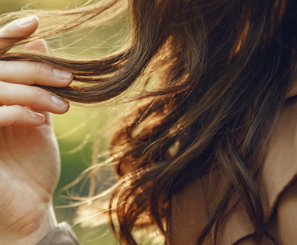 Infusion Capillaire -  Cheveux secs / cassants